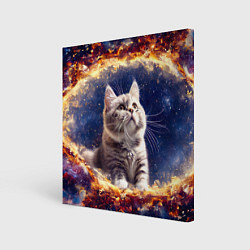 Холст квадратный Кошка шиншилла в космосе, цвет: 3D-принт