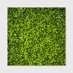 Холст квадратный Зеленая трава, цвет: 3D-принт — фото 2