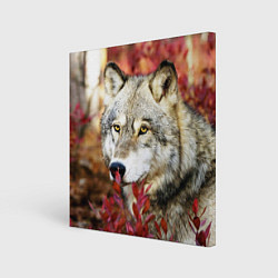 Холст квадратный Волк в кустах, цвет: 3D-принт