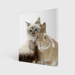 Холст квадратный Кот и кролик пушистые, цвет: 3D-принт