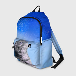 Рюкзак Кот и космос, цвет: 3D-принт