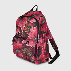 Рюкзак Красные листья, цвет: 3D-принт