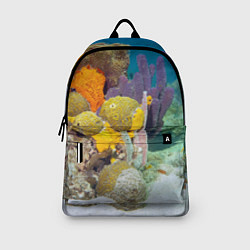 Рюкзак Морской мир, цвет: 3D-принт — фото 2