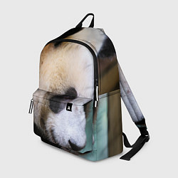 Рюкзак Загадочная панда, цвет: 3D-принт
