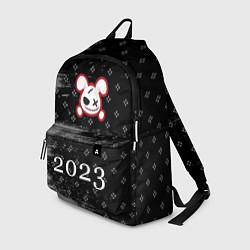 Рюкзак Кролик 2023 злой: символ, надпись, цвет: 3D-принт
