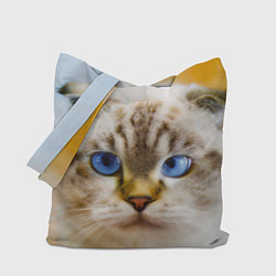 Сумка-шопер Кошка породы шотландская вислоухая косоглазая, цвет: 3D-принт