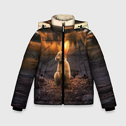 Куртка зимняя для мальчика Солнечный зайчик, цвет: 3D-черный