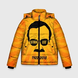 Куртка зимняя для мальчика Stan Lee 1922-2018, цвет: 3D-светло-серый