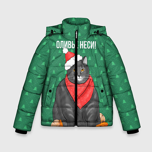 Зимняя куртка для мальчика Оливье неси / 3D-Красный – фото 1