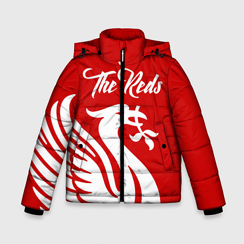 Зимняя куртка для мальчика The Reds / 3D-Красный – фото 1