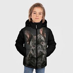 Куртка зимняя для мальчика Французский бульдог, цвет: 3D-черный — фото 2