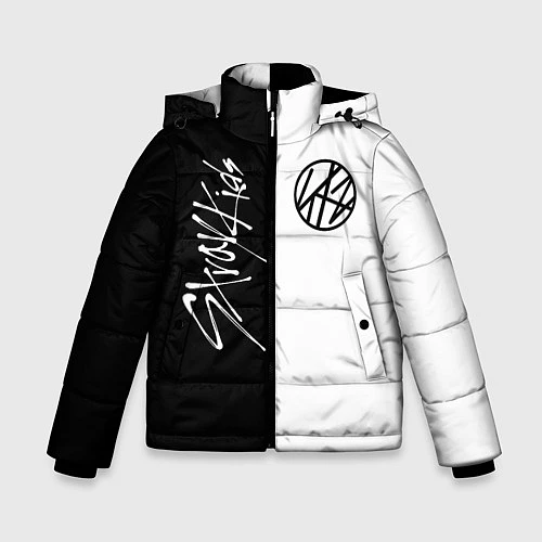 Зимняя куртка для мальчика Stray Kids / 3D-Светло-серый – фото 1