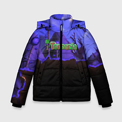 Куртка зимняя для мальчика TERRARIA, цвет: 3D-черный