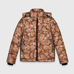 Куртка зимняя для мальчика Бейонсе, цвет: 3D-светло-серый