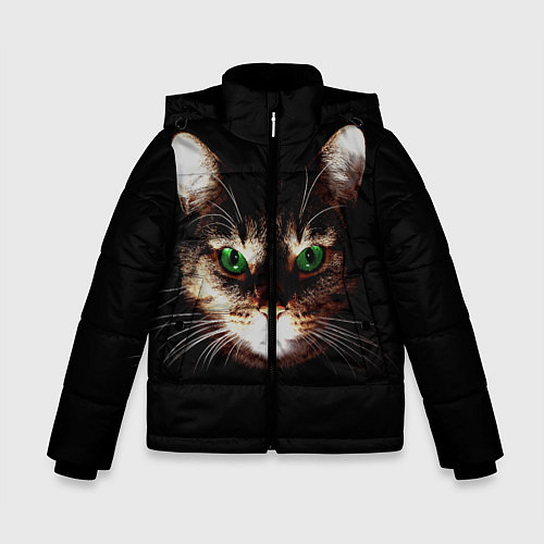 Зимняя куртка для мальчика Зеленоглазый кот / 3D-Красный – фото 1