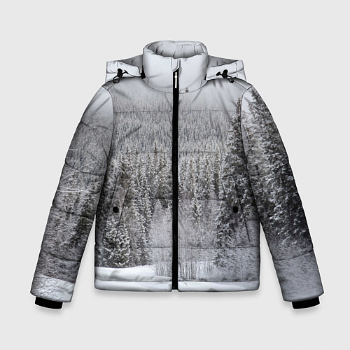 Зимняя куртка для мальчика Зимняя природа / 3D-Красный – фото 1