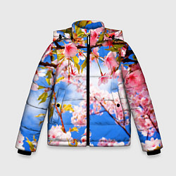 Куртка зимняя для мальчика Сакура, цвет: 3D-светло-серый