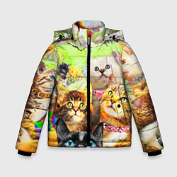 Куртка зимняя для мальчика КОТЫ, цвет: 3D-светло-серый