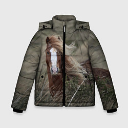 Куртка зимняя для мальчика Конь, цвет: 3D-красный