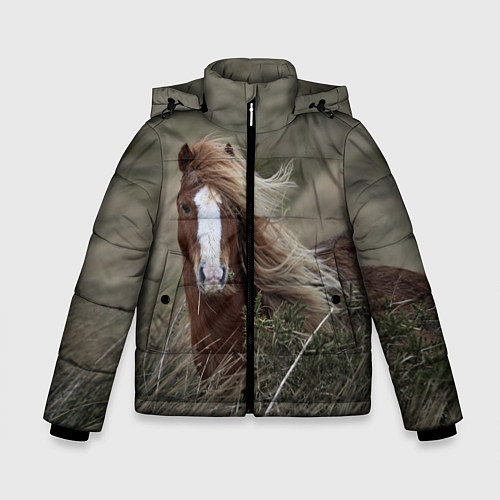Зимняя куртка для мальчика Конь / 3D-Красный – фото 1