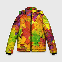 Куртка зимняя для мальчика Осенние листья, цвет: 3D-черный