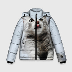 Зимняя куртка для мальчика Серый котенок