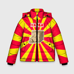 Куртка зимняя для мальчика Халва, цвет: 3D-черный