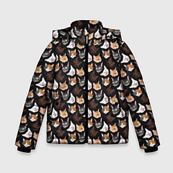 Куртка зимняя для мальчика Много котов, цвет: 3D-светло-серый