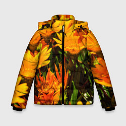 Куртка зимняя для мальчика Желтый цвет весны, цвет: 3D-черный