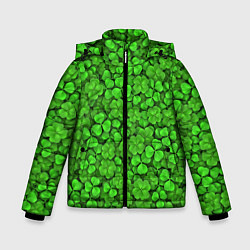 Зимняя куртка для мальчика Зелёный клевер