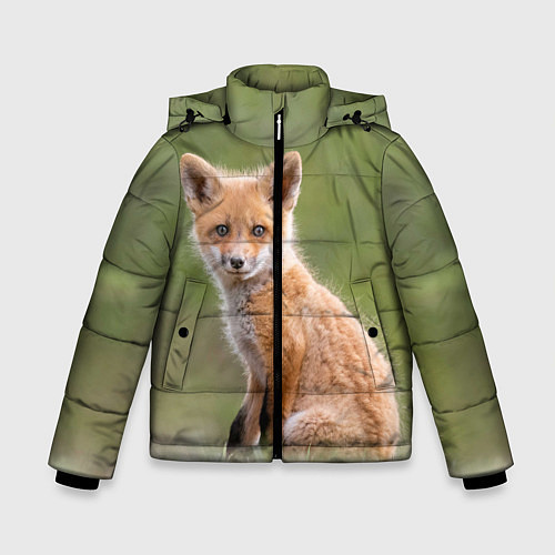 Зимняя куртка для мальчика Лисенок / 3D-Красный – фото 1