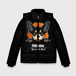 Зимняя куртка для мальчика Чихуахуа Chihuahua