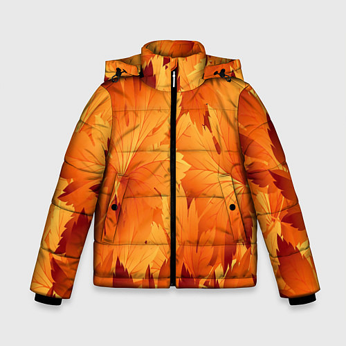 Зимняя куртка для мальчика Кленовая сладость / 3D-Светло-серый – фото 1