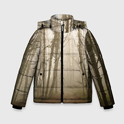 Куртка зимняя для мальчика Туманный лес на восходе, цвет: 3D-светло-серый
