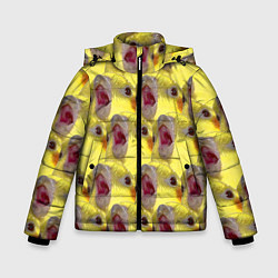 Куртка зимняя для мальчика Попугай Корелла Орёт Мем, цвет: 3D-светло-серый