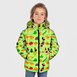 Куртка зимняя для мальчика CHICKEN WITH CHICKENS, цвет: 3D-светло-серый — фото 2