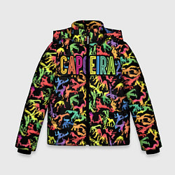 Зимняя куртка для мальчика Capoeira colorful mens