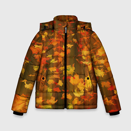 Зимняя куртка для мальчика Осеннее золото / 3D-Светло-серый – фото 1