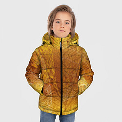 Куртка зимняя для мальчика Осенний узор, цвет: 3D-светло-серый — фото 2