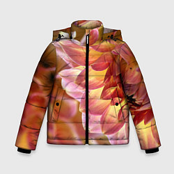Куртка зимняя для мальчика Оранжевые георгины лепестки, цвет: 3D-светло-серый