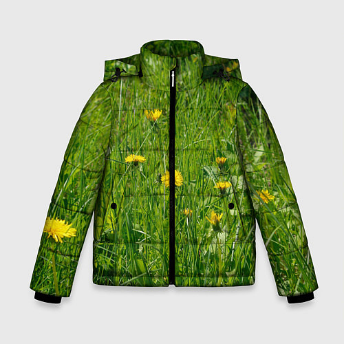 Зимняя куртка для мальчика Солнечные одуванчики / 3D-Светло-серый – фото 1