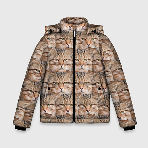 Зимняя куртка для мальчика Кот - Гипнокот / 3D-Красный – фото 1