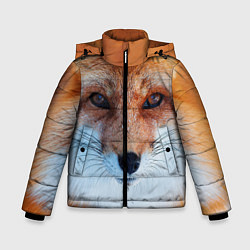Куртка зимняя для мальчика Взгляд лисы, цвет: 3D-черный