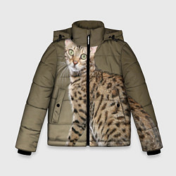 Куртка зимняя для мальчика Пятнистый котик, цвет: 3D-черный