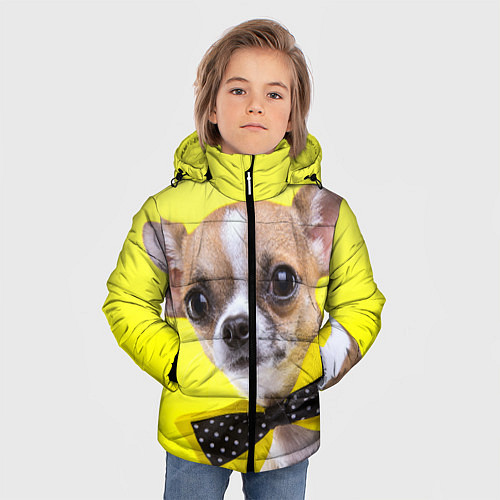Зимняя куртка для мальчика Чихуахуа с бабочкой / 3D-Светло-серый – фото 3