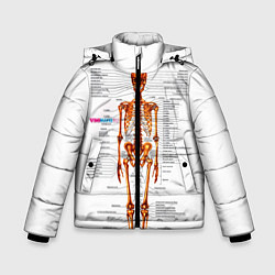 Зимняя куртка для мальчика Шпаргалки