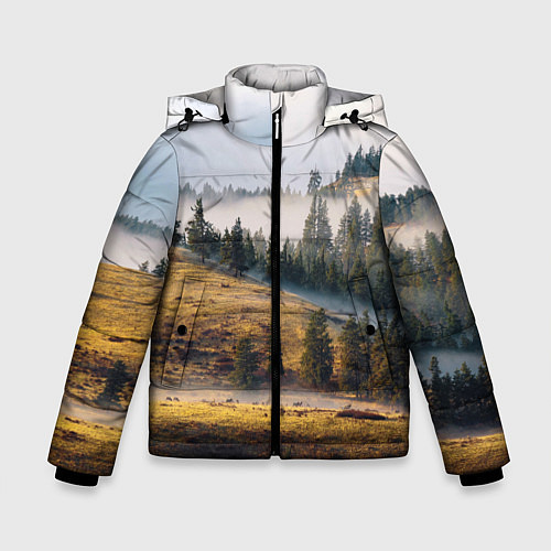 Зимняя куртка для мальчика Туман в горах / 3D-Красный – фото 1