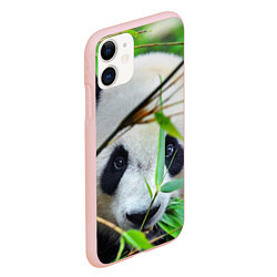 Чехол iPhone 11 матовый Панда в лесу, цвет: 3D-светло-розовый — фото 2