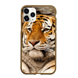 Чехол iPhone 11 Pro матовый Мудрый тигр, цвет: 3D-коричневый