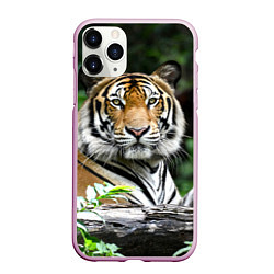 Чехол iPhone 11 Pro матовый Тигр в джунглях, цвет: 3D-розовый